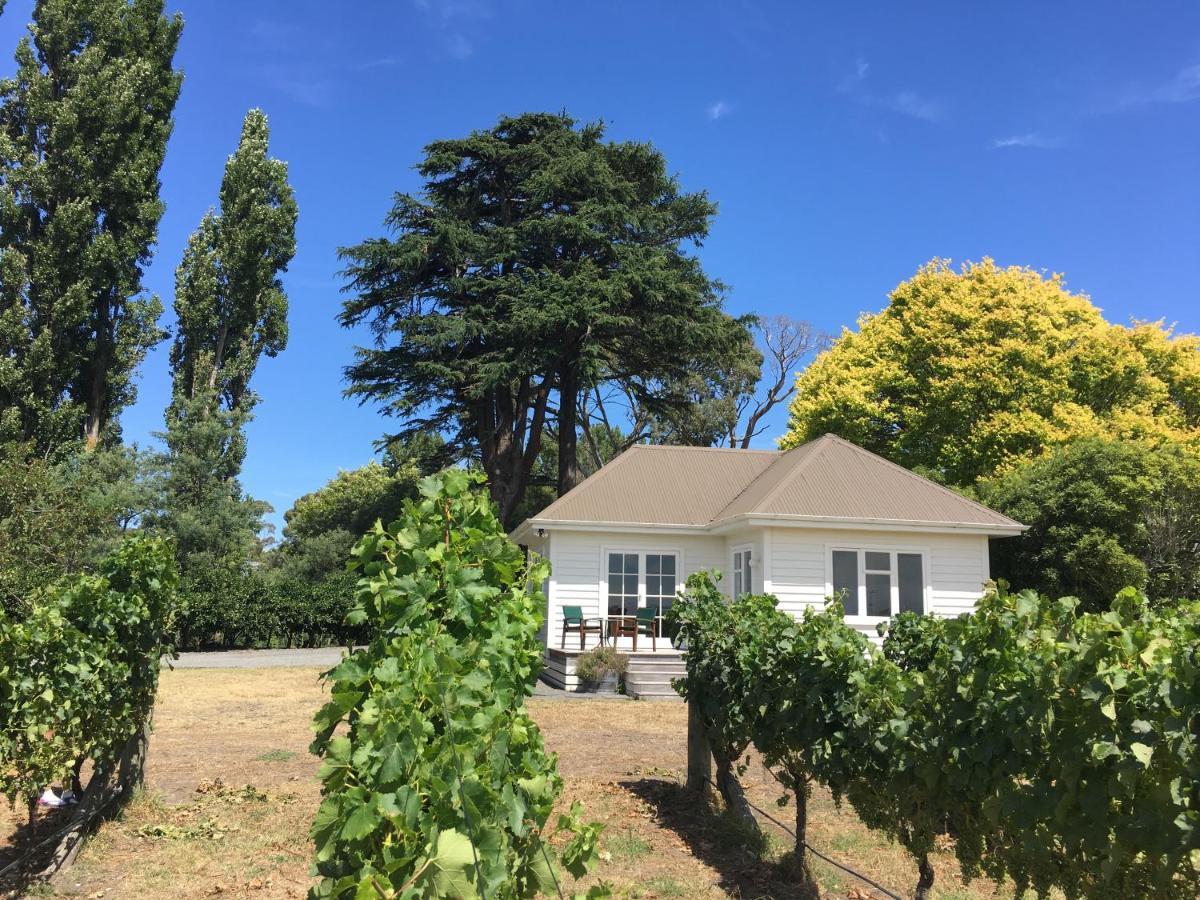 Tuki Vineyard Cottage Havelock North Exterior photo
